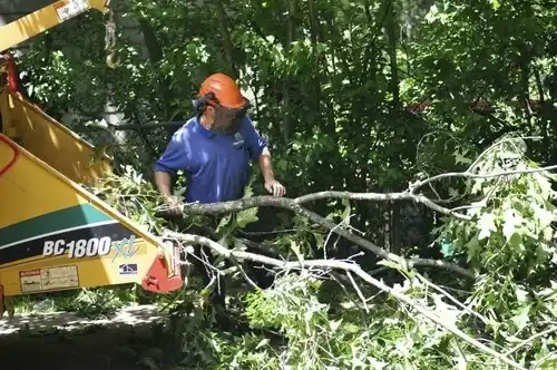 tree services Bethpage